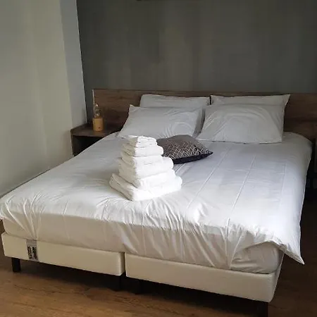 Daire Deluxe, Calme Proche Airbus Et Chantiers De L'atlantique